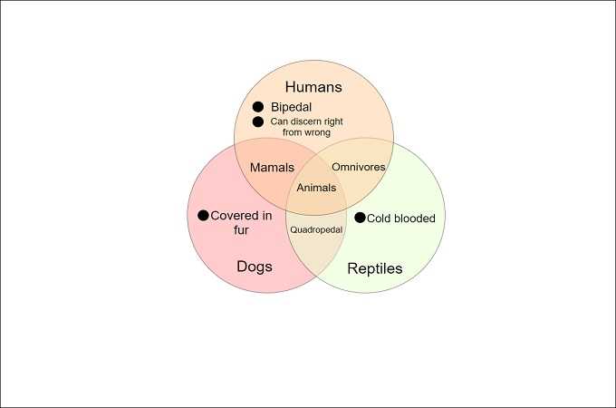 3 part venn diagram template