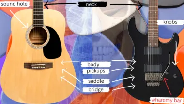 acoustic guitar parts diagram