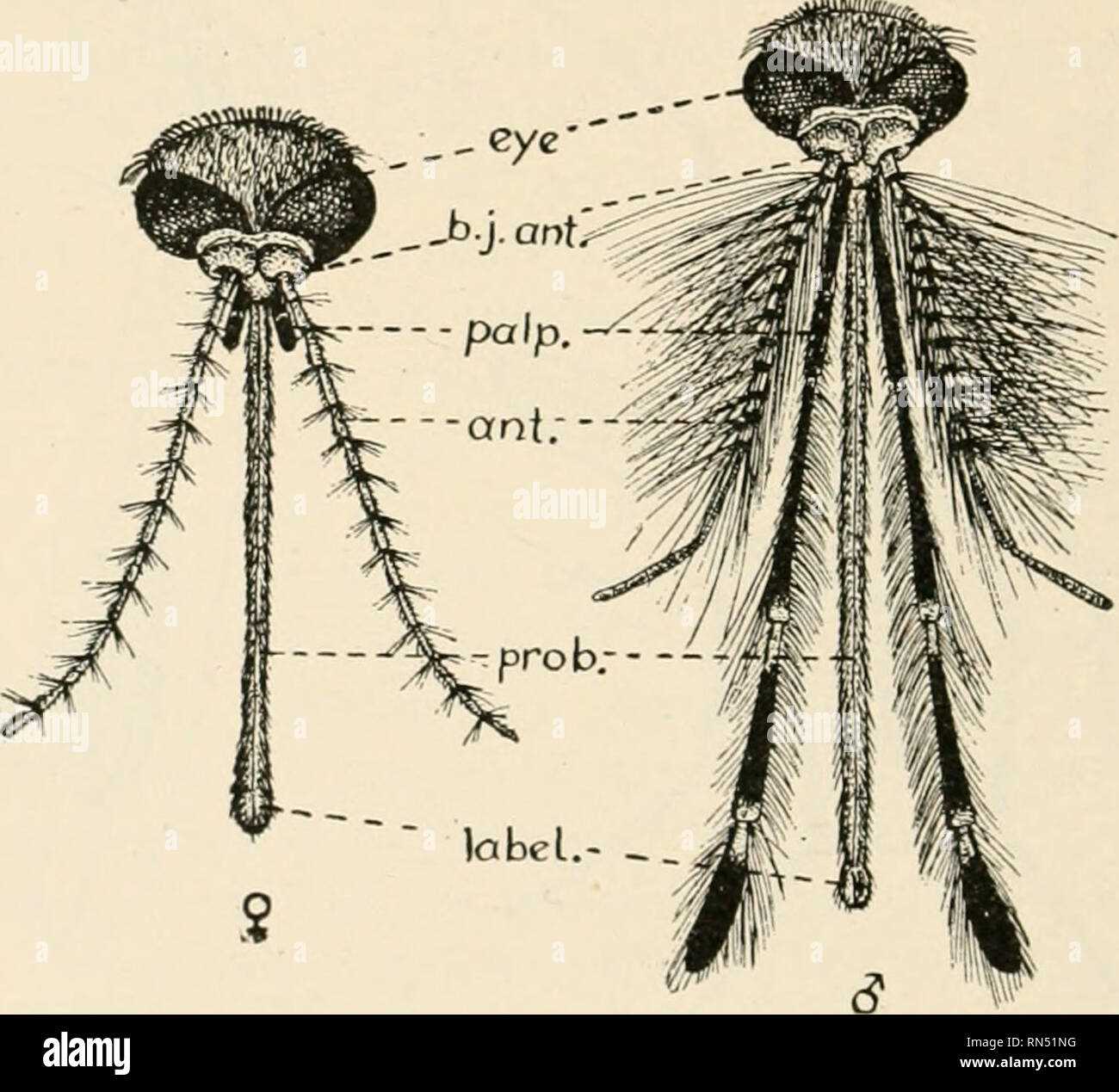 antenna parts diagram