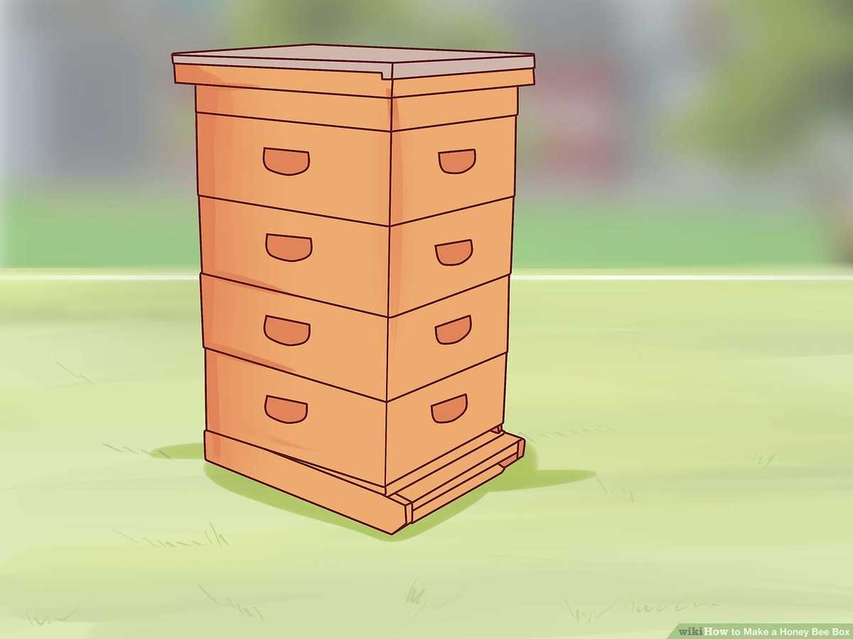 bee hive parts diagram