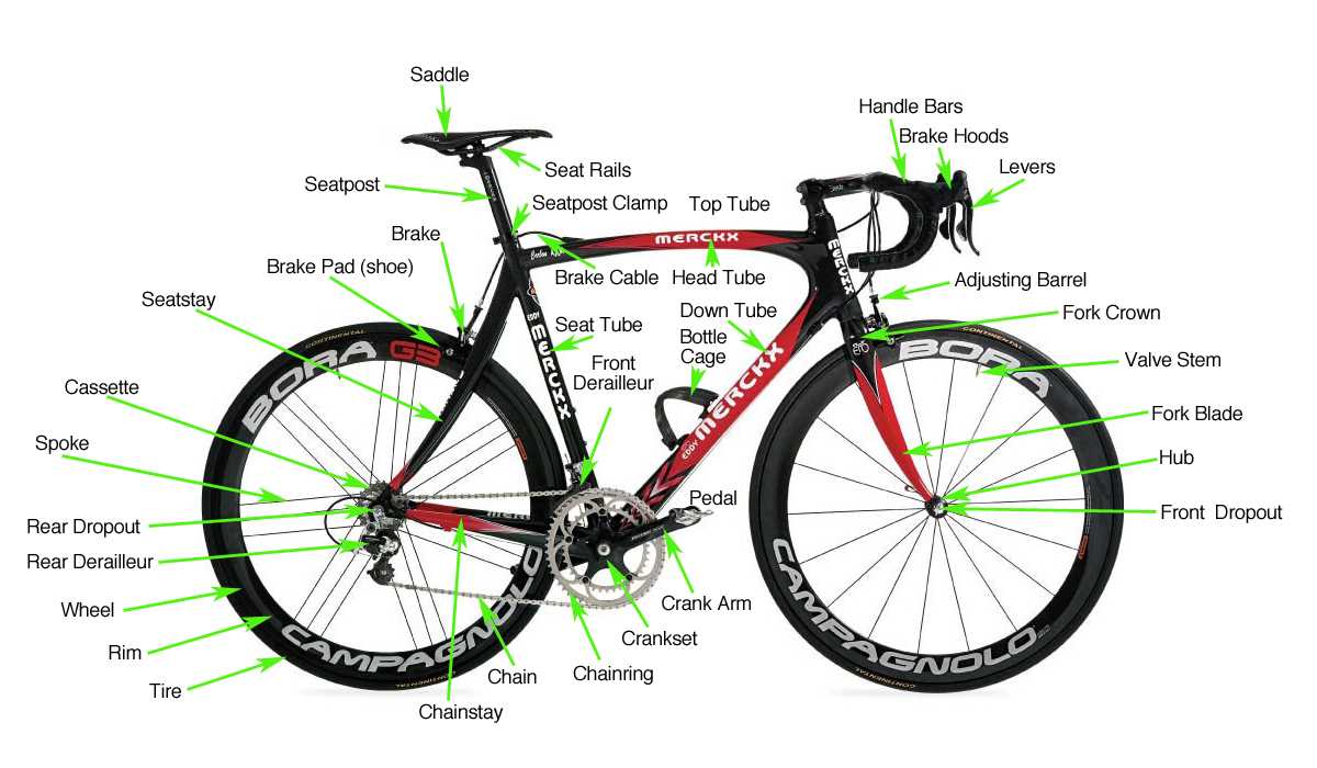 bicycle gear parts diagram