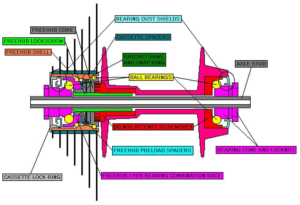 bike hub parts diagram