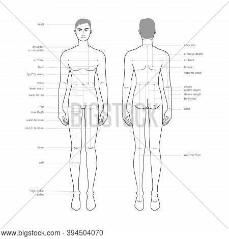 body parts diagram male