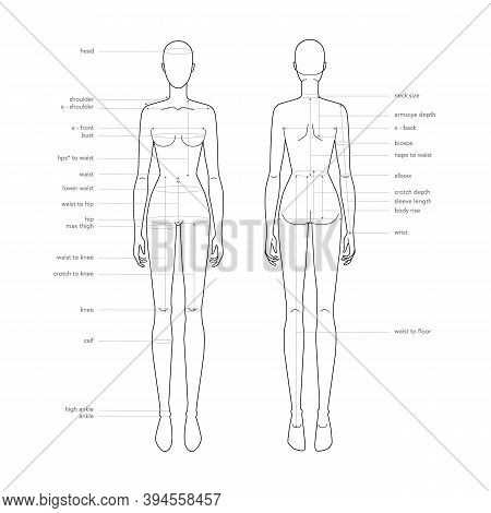 body parts diagram woman