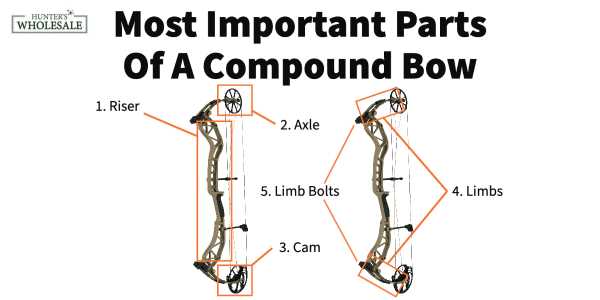 bow and arrow parts diagram