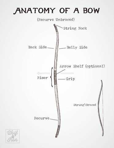 bow and arrow parts diagram