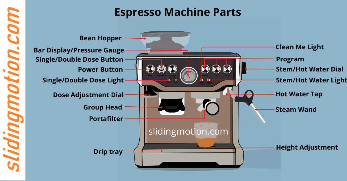 breville grinder parts diagram