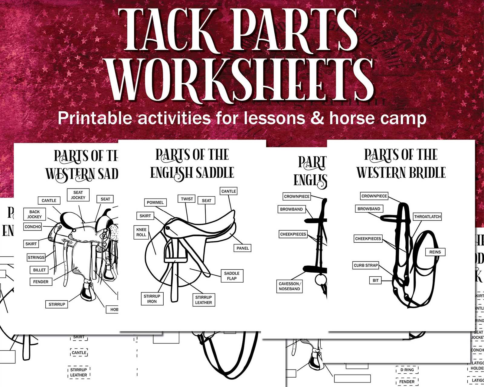 bridle parts diagram