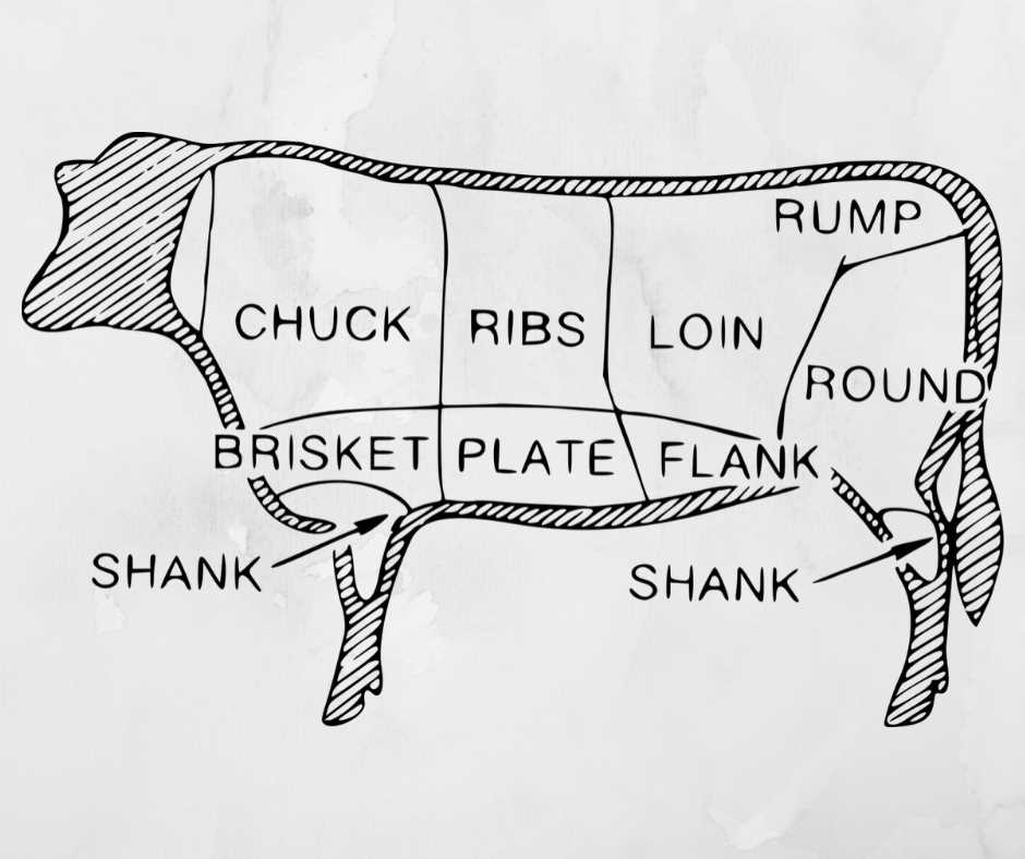 cow parts diagram