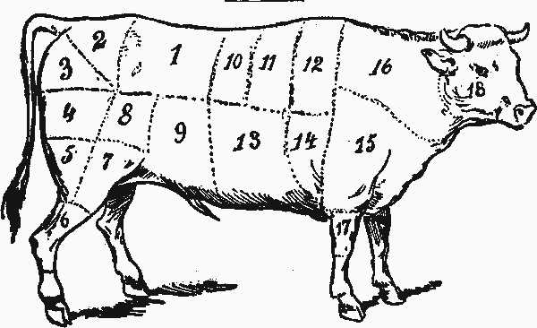 cow parts diagram