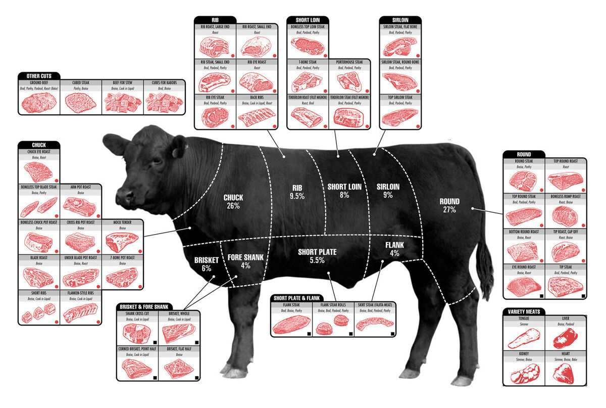 cow parts diagram