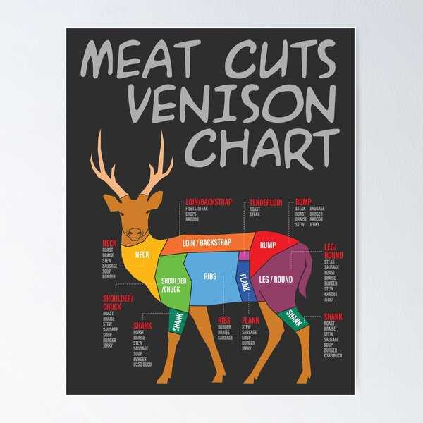 deer meat parts diagram