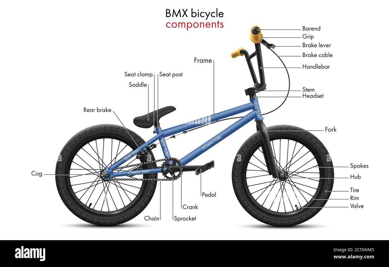 diagram of mountain bike parts