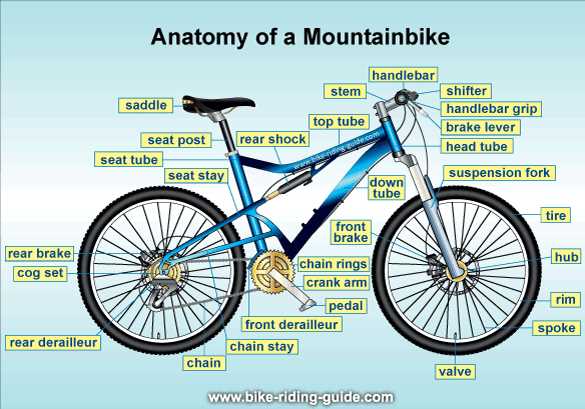 diagram of mountain bike parts