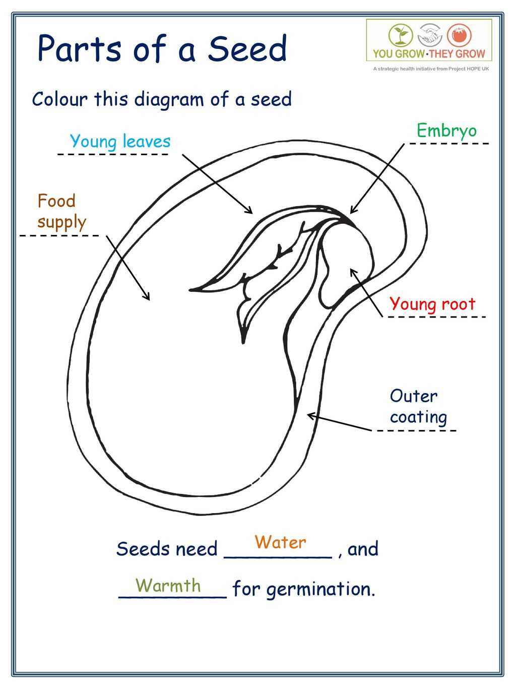 diagram of parts of a seed