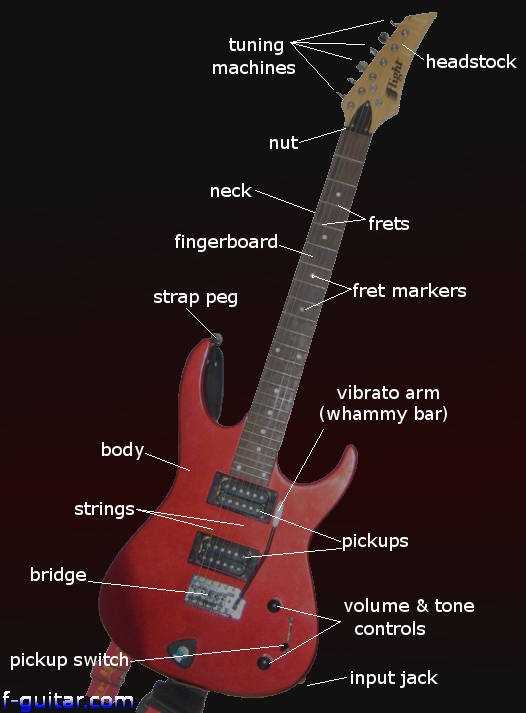 electric guitar diagram parts