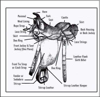 english saddle parts diagram