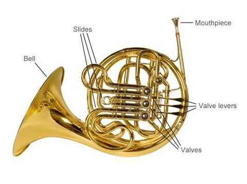 french horn parts diagram