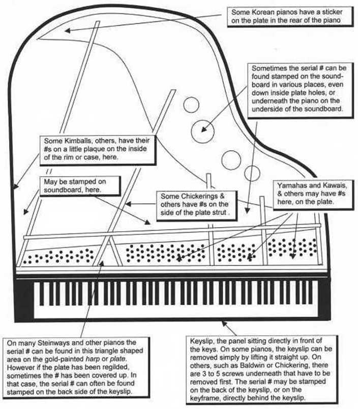 grand piano parts diagram