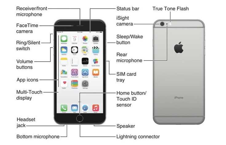 iphone 6 plus diagram of parts