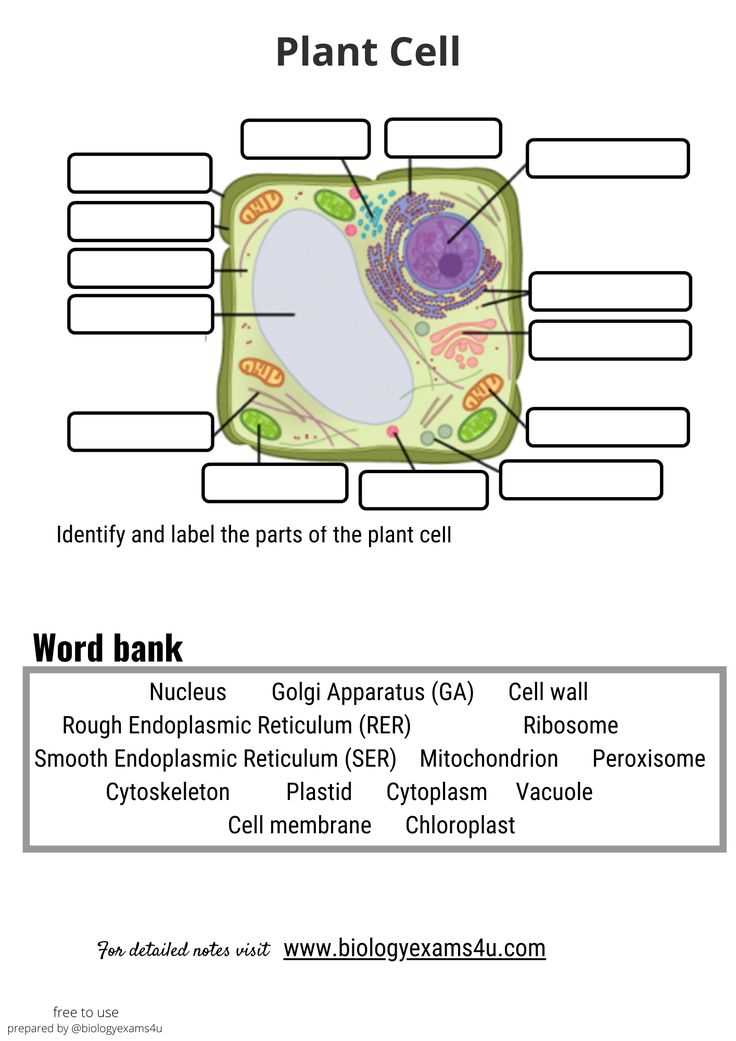 parts of a cell diagram quiz