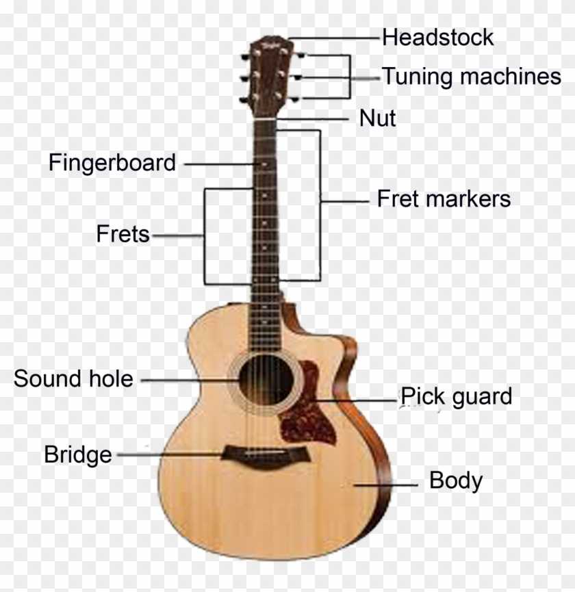 parts of a guitar diagram