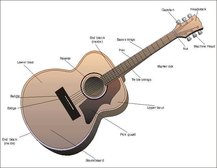 parts of a guitar diagram