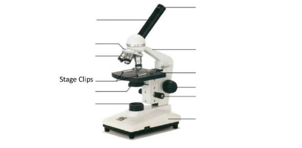 parts of a microscope diagram labeled