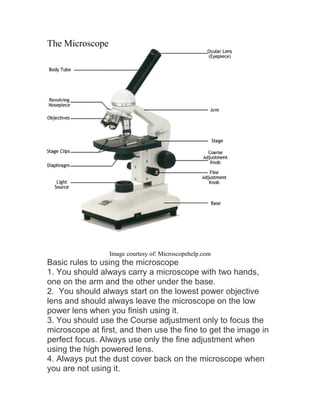 parts of a microscope diagram labeled