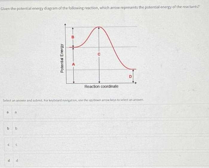 parts of a potential energy diagram