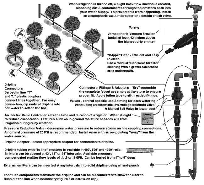 parts of an apple tree diagram