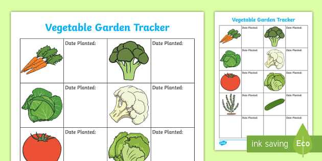 parts of broccoli diagram