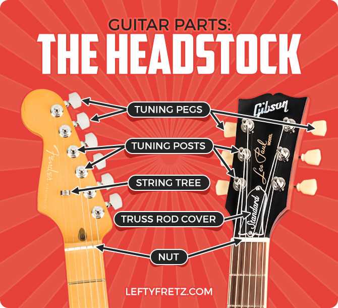 parts of the guitar diagram