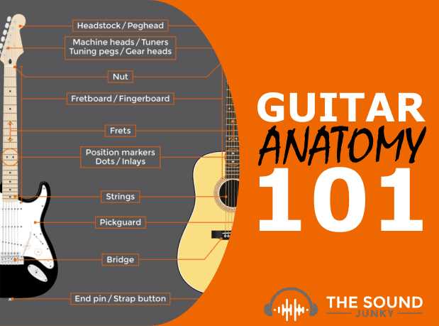 parts of the guitar diagram