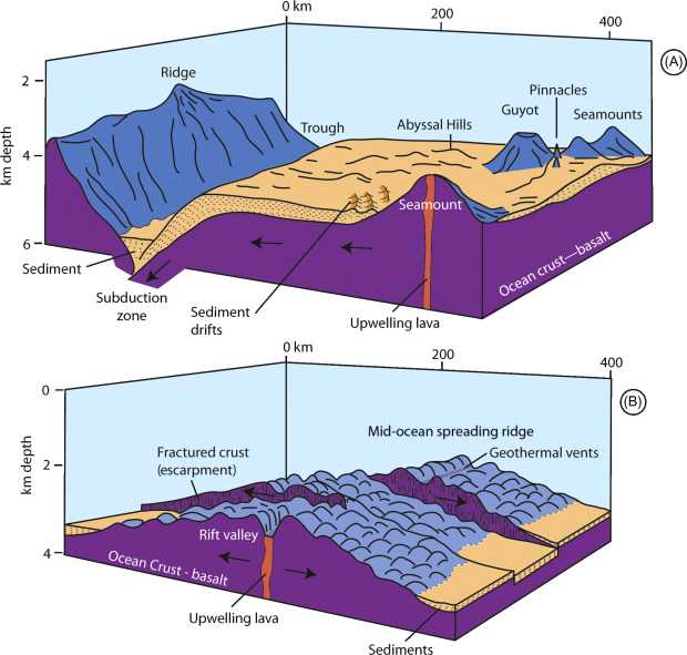 parts of the ocean floor diagram