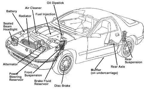 parts underneath a car diagram