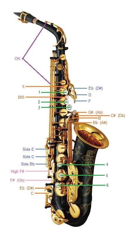 saxophone parts diagram