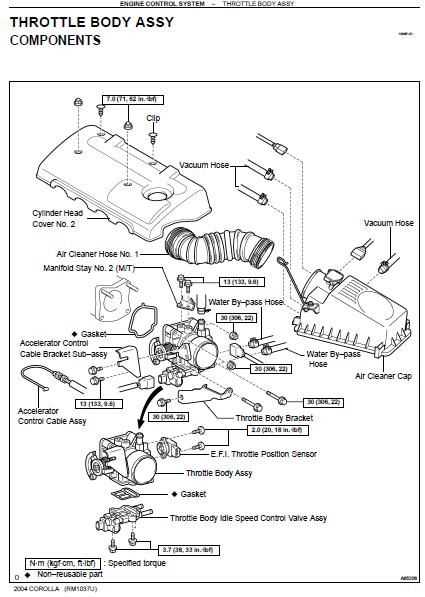 toyota echo parts diagram