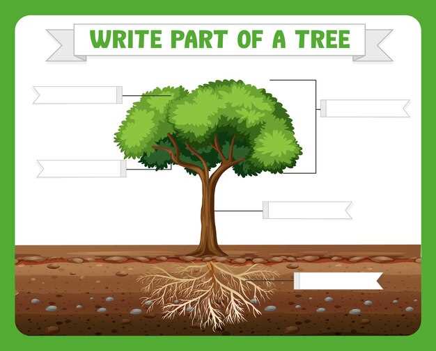 tree diagram parts