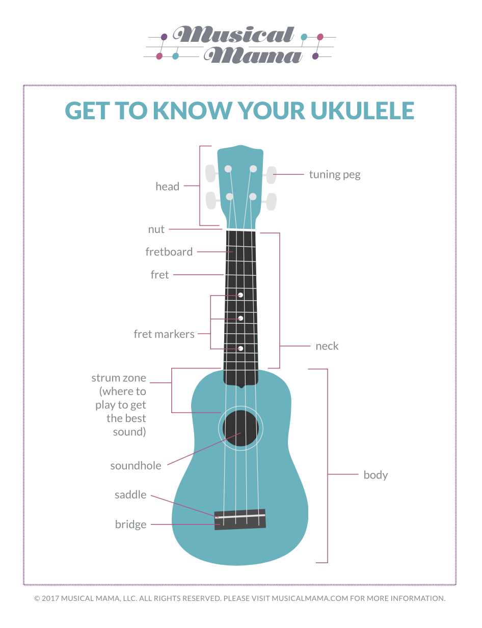 ukulele diagram of parts