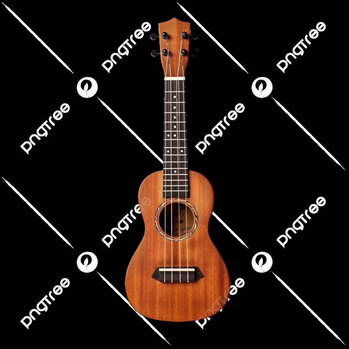 ukulele parts diagram