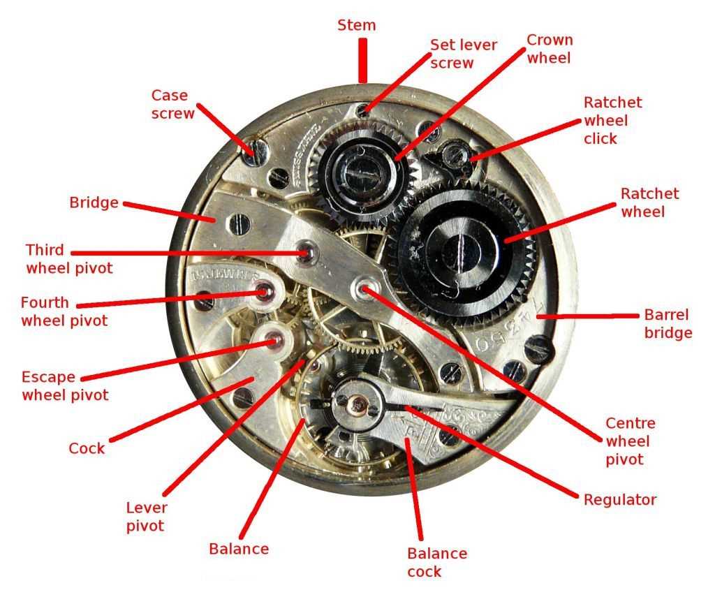 watch diagram part by part