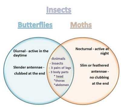 what are the parts of a venn diagram called