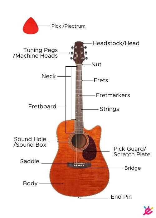 parts of the guitar diagram