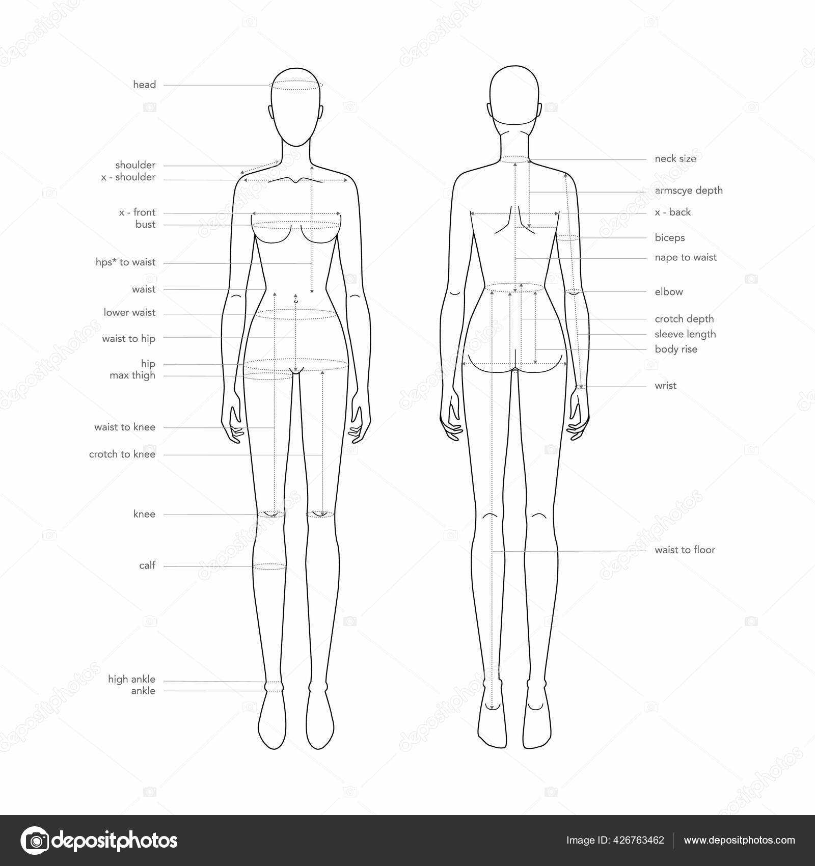 back body parts diagram