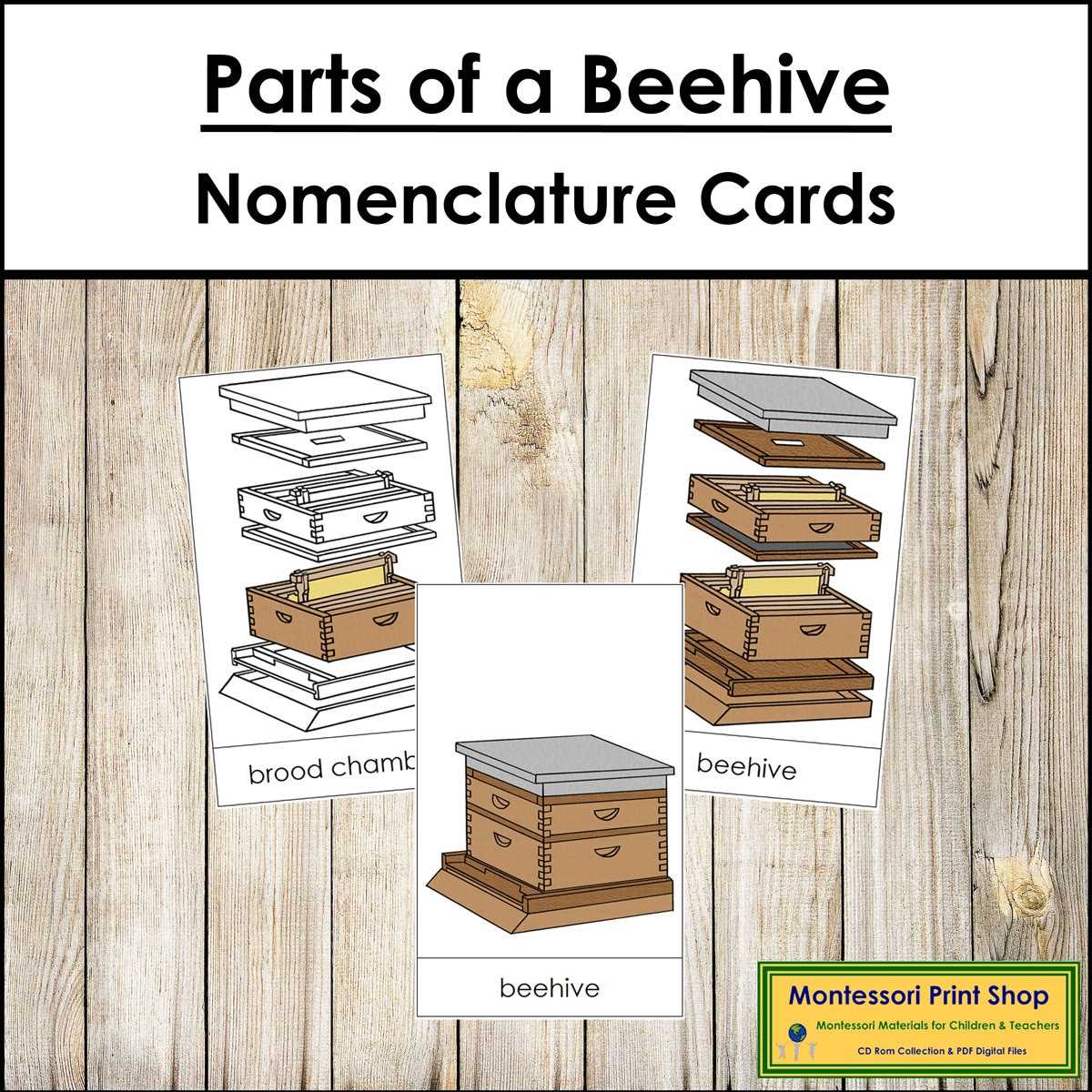 bee hive parts diagram