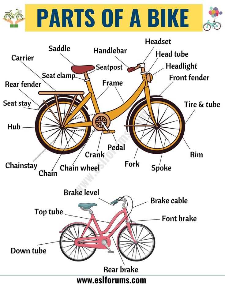 bicycle wheel parts diagram