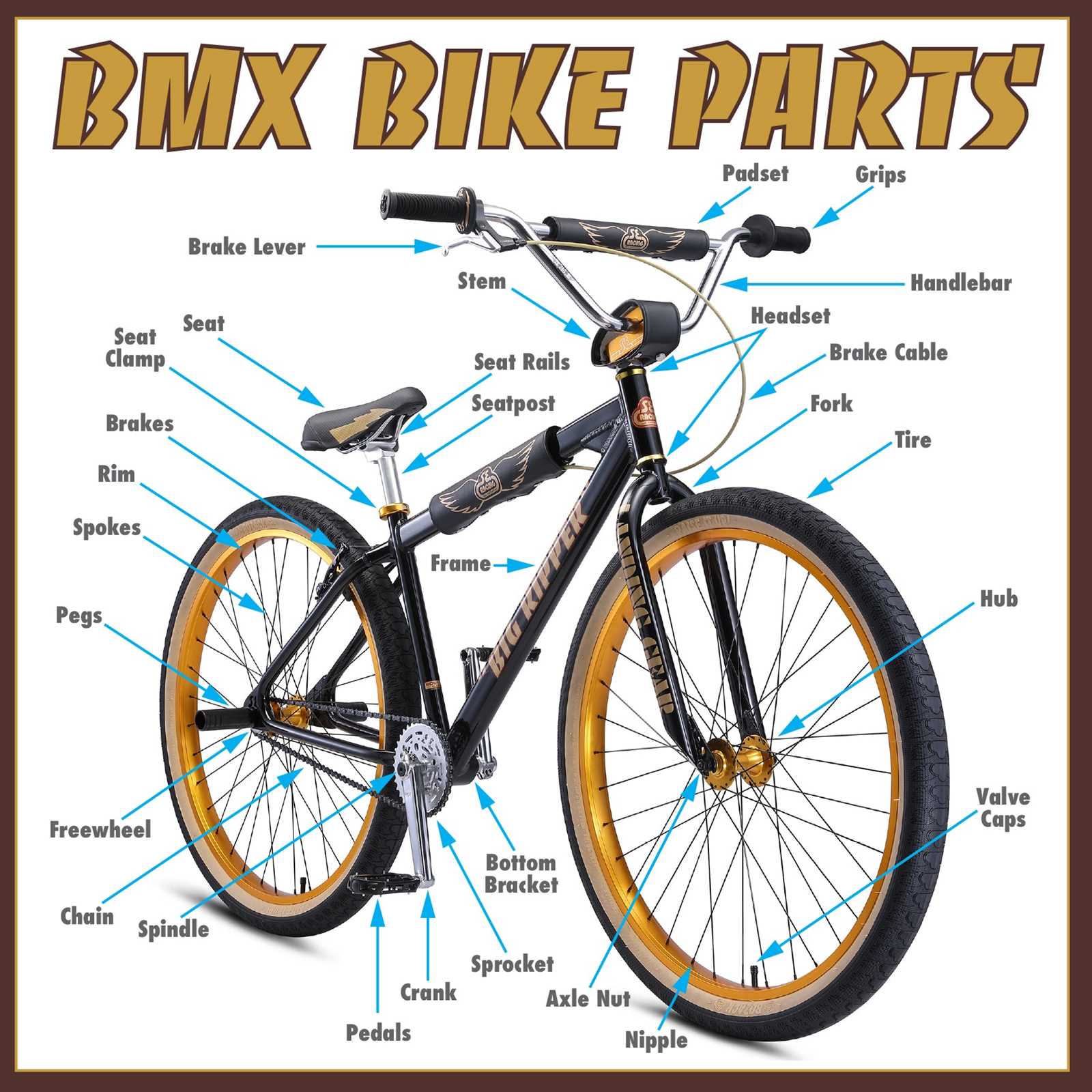 bike crank parts diagram