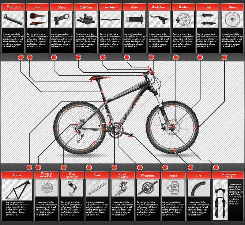 diagram of mountain bike parts