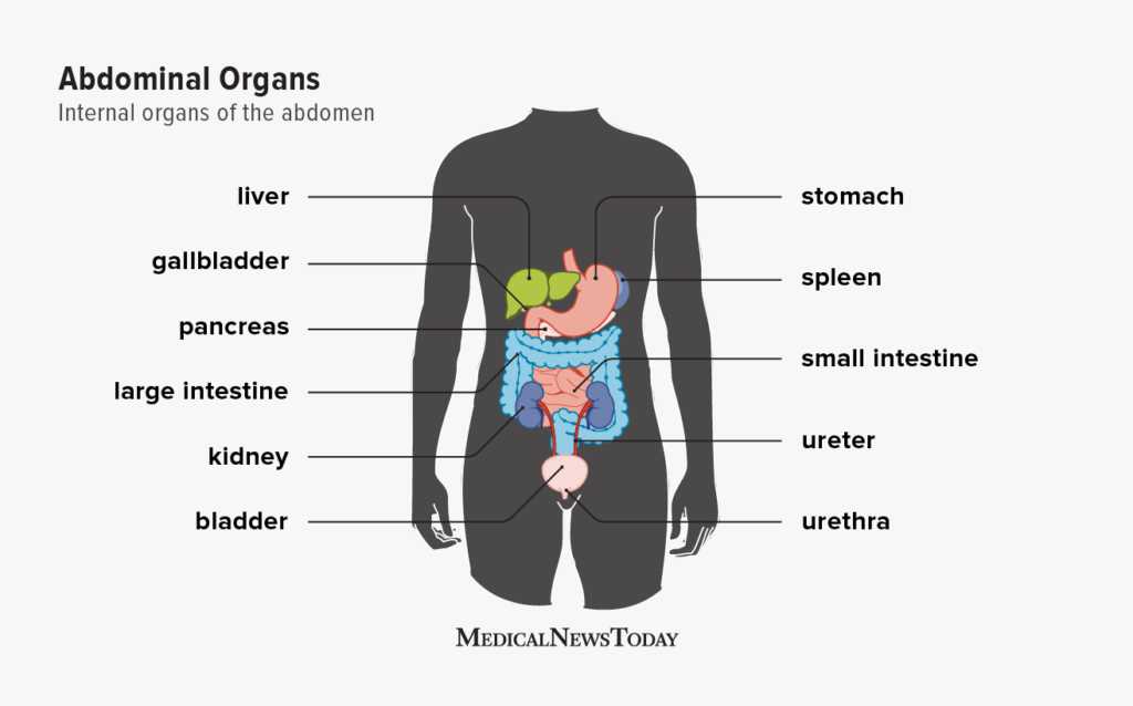 body parts with diagram